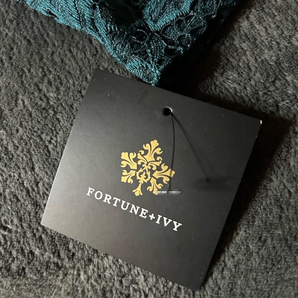 Elegant Teal Lace Dress - Picture 6 of 12